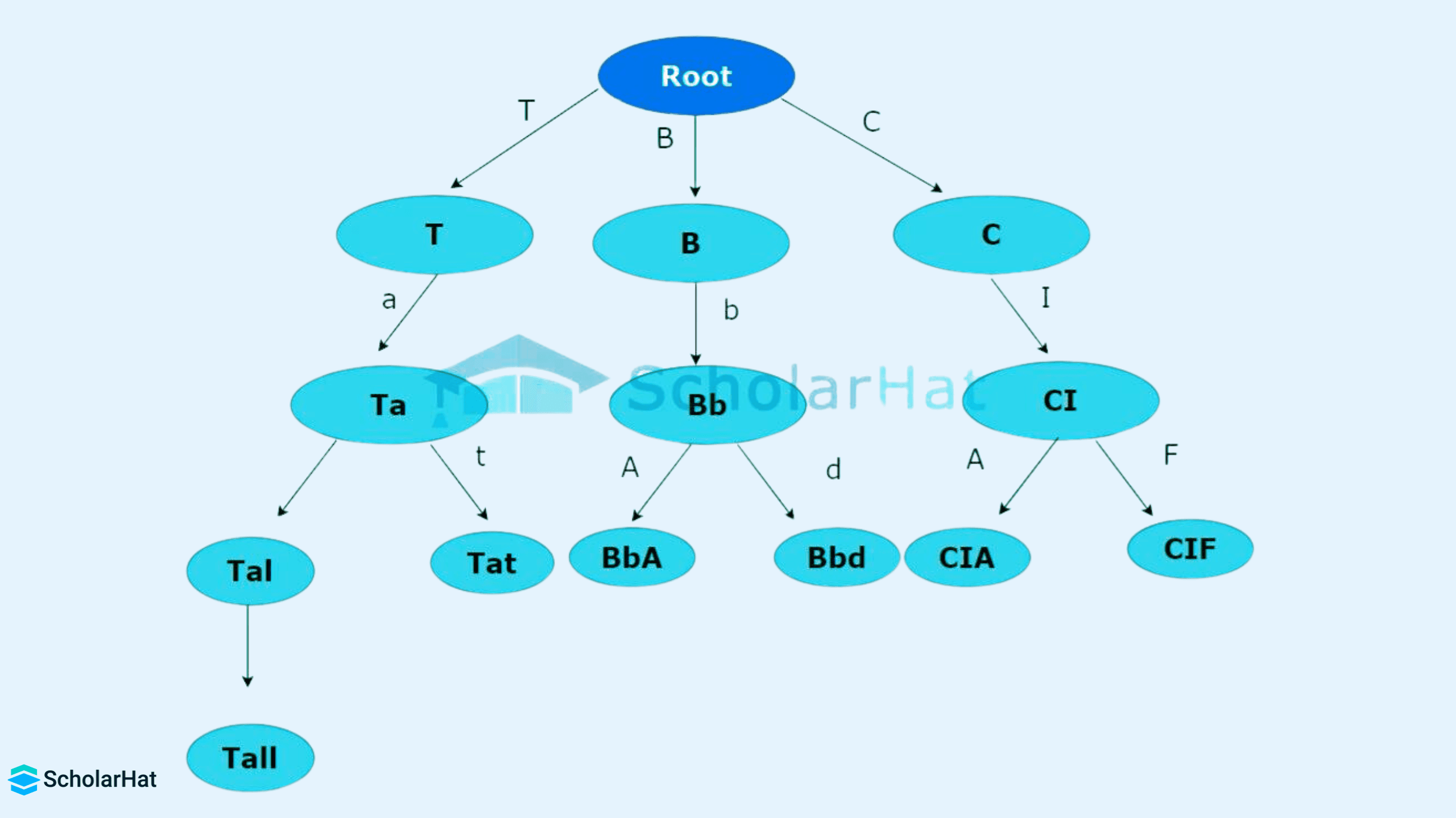 Template builder interface